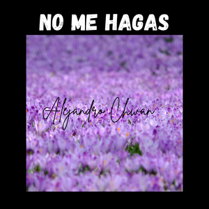 No Me Hagas