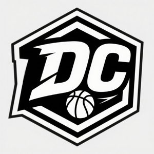 心意如飞鸿踏雪泥