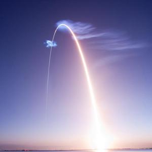 ひまわりの約束