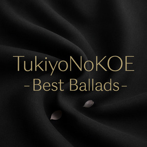 アシタノヒカリヘ