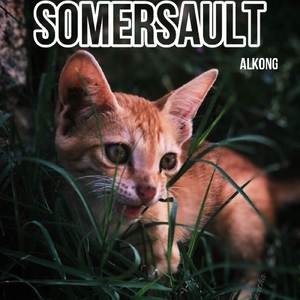 Somersault