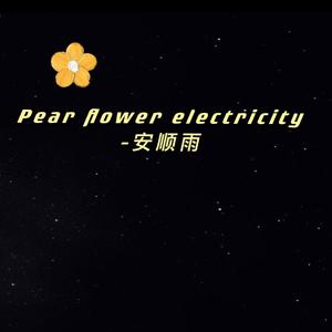 安顺雨-pear flower electricity梨花电（安顺雨 Remix）