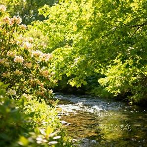 下雪天适合想念 (Cover 金多)