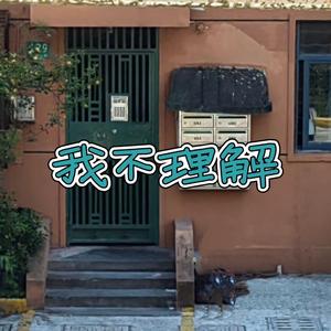 我不理解