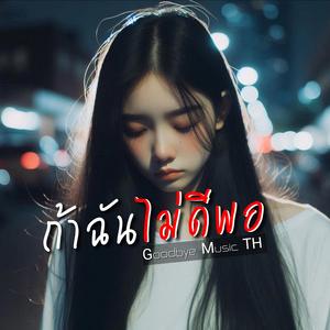 ถ้าฉันไม่ดีพอ