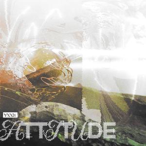ATTITUDE