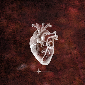 Flatline Feat. Brennan Savage