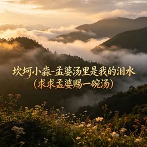 孟婆汤里是我的泪水(求求孟婆赐一碗汤)