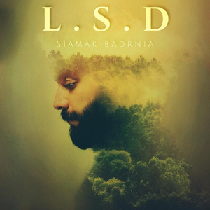 L.S.D