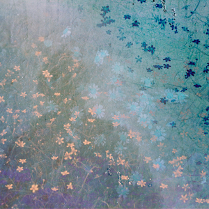 Сад твоей зимы