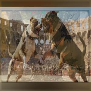 Raised in tha District