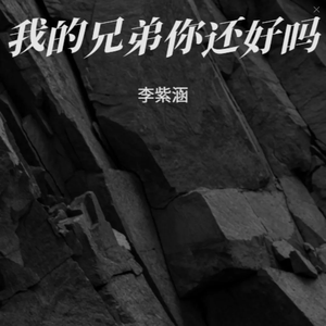 我的兄弟你还好吗(和声伴奏)