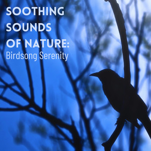 Tranquil Flight of Birdsong