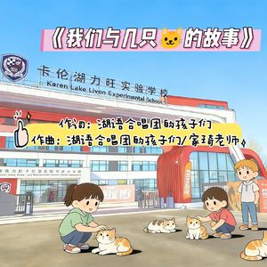 我们与几只猫的故事