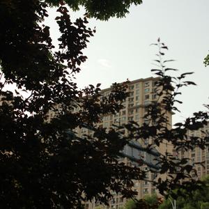 我们会找到的