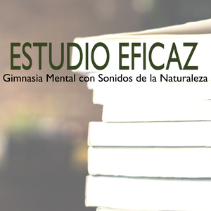 Musica para Concentrarse