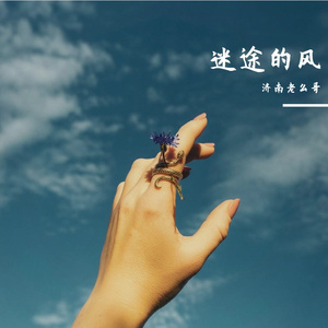 迷途的风