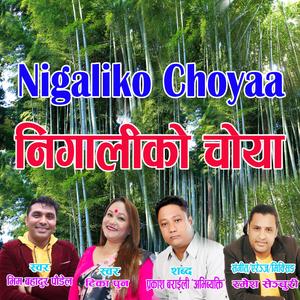 Nigaliko Choyaa (feat. Tika Pun, Bhim Bahadur Paudel & Prakash Baraili "Avibekti")
