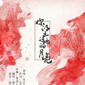 你望过他的月亮