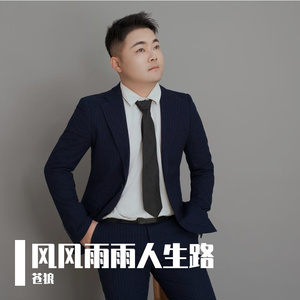 风风雨雨人生路（DJ阿能版）