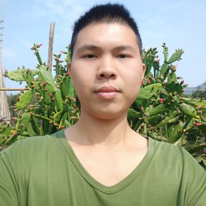 你是我永远的力量啊(国语版)