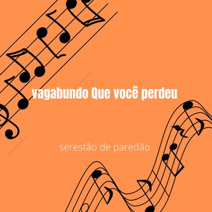 Vagabundo Que Você Perdeu