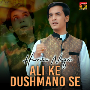 Ali Ke Dushmano Se