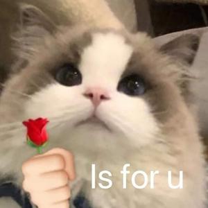 遇见（西安话版）（翻自 孙燕姿）