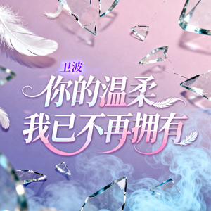 你的温柔我已不再拥有