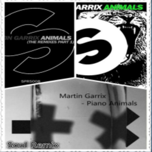 Soul - Martin Garrix,BOTNEK - Animals  (Soul Mashup)