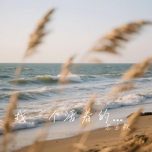 找一个活着的证明