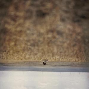 That's Not How The World Works