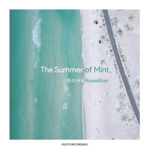 The summer of mint(Orignal Mix)