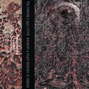 The dungeon's haze lifted, revealing a visage drenched in crimson.