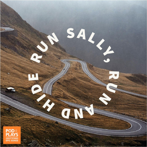 Run Sally Run (feat. Alex Seier)