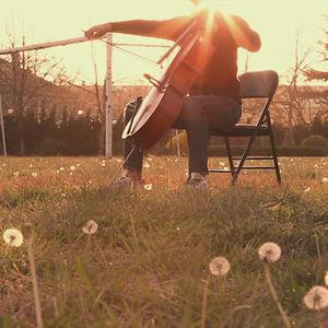 【大提琴】权力的游戏主题