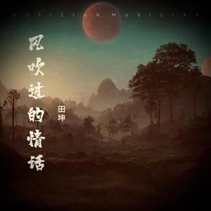 风吹过的情话