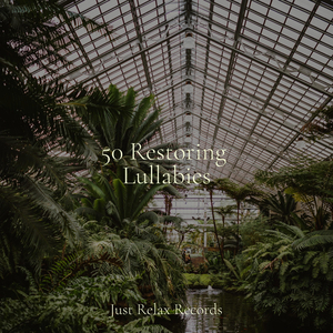 Dawn's Ascending Journey