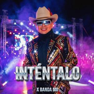 Inténtalo