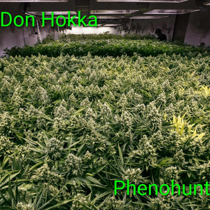 phenohunt
