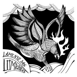 Flechas Laser Framboesa