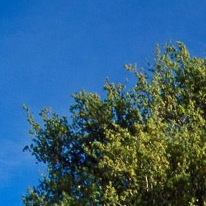 在这个没有人情味的世界里