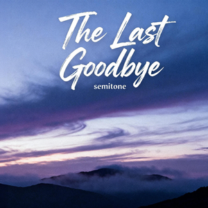 The Last Goodbye