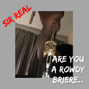 Are You (A Rowdy Briere…) [2024 Remastered Version]