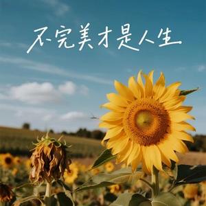 遇你不做智者