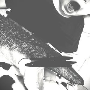 Gael, another mosasaurus 2