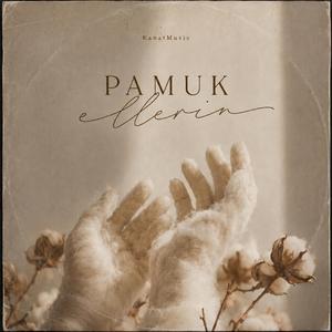 Pamuk Ellerin