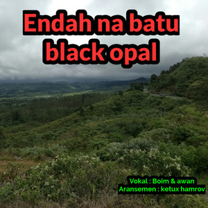 Endah na Batu Black Opal