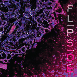 Flipside