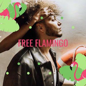 Free Flamingo